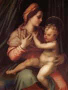 Andrea del Sarto The Virgin and Child oil painting picture wholesale